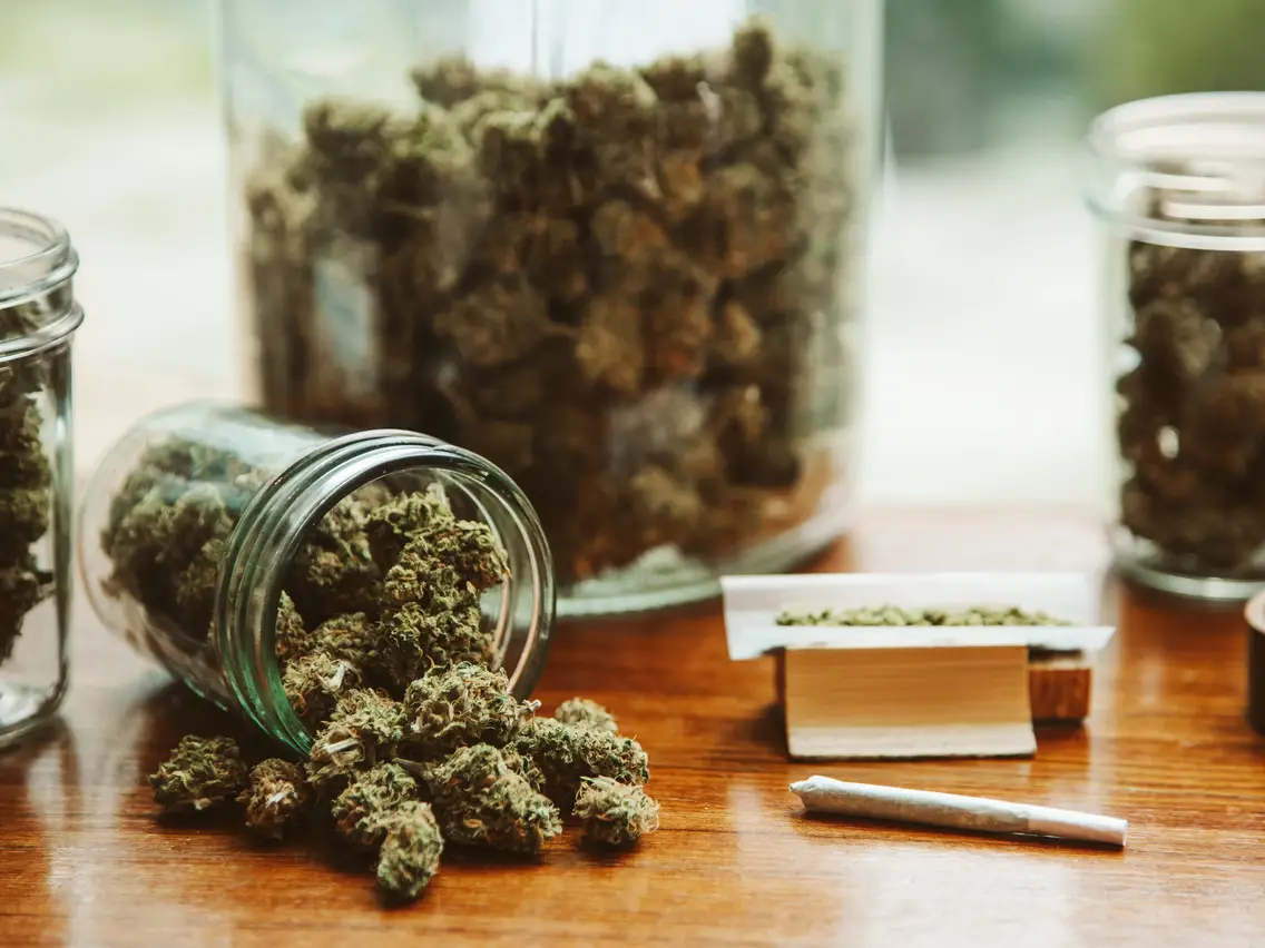 Let’s Explore the World of Cannabis Together at Weed Wonderland